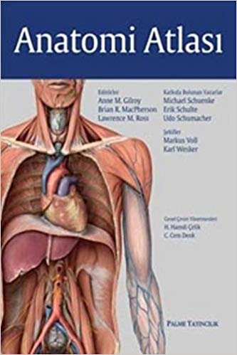 okumak Anatomi Atlası