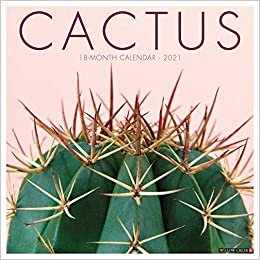 okumak Cactus 2021 Calendar