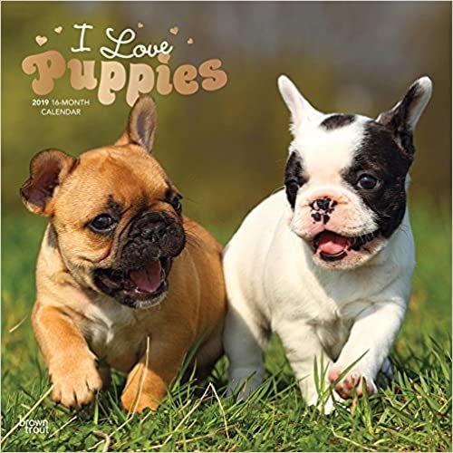 okumak I love Puppies - Ich liebe Welpen - Hunde 2019 - 18-Monatskalender (Wall-Kalender)