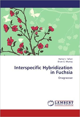 okumak Interspecific Hybridization in Fuchsia: Onagraceae