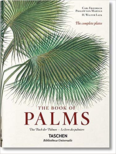 okumak von Martius. The Book of Palms