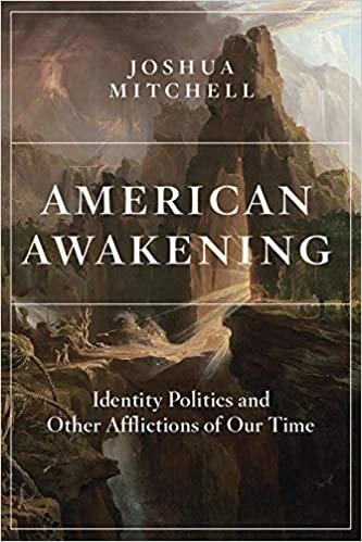 okumak American Awakening: Identity Politics and Other Afflictions of Our Time