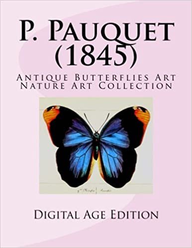 okumak P. Pauquet (1845) Antique Butterflies Art: Nature Art Collection Digital Age Edition