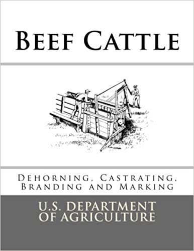 okumak Beef Cattle: Dehorning, Castrating, Branding and Marking (Farmers&#39; Bulletin)