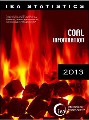 okumak Coal information 2013: with 2012 data (ENERGIE ENERGIE NUCLÉAIRE)