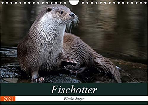 okumak Fischotter, flinke Jäger (Wandkalender 2021 DIN A4 quer): Fischotter sind flinke und wendige Jäger (Monatskalender, 14 Seiten )