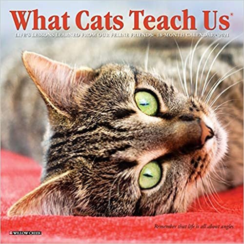 okumak What Cats Teach Us 2021 Calendar