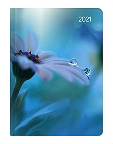 okumak Ladytimer Midi Waterdrops 2021 - Taschen-Kalender 12x17 cm - Tropfen - mit Mattfolie - Notiz-Buch - Weekly - 192 Seiten - Alpha Edition