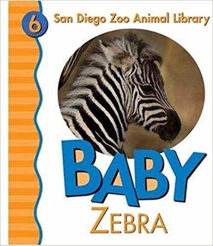 okumak Baby Zebra (San Diego Zoo Animal Library)