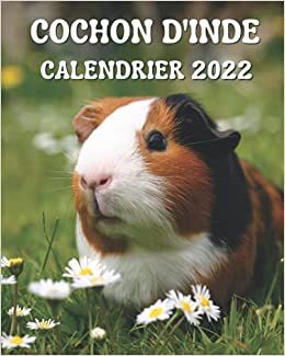 okumak Cochon d&#39;Inde Calendrier 2022: Calendrier mensuel 2022 avec des images de magnifiques cochons d&#39;Inde