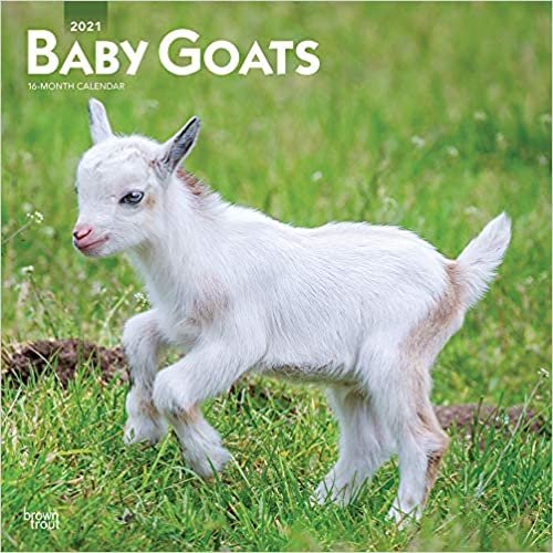 okumak Baby Goats - Ziegenbabys 2021 - 16-Monatskalender: Original BrownTrout-Kalender [Mehrsprachig] [Kalender] (Wall-Kalender)