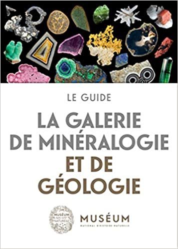 okumak La galerie de minéralogie et de géologie: Le guide (Mnhn Grand Public)