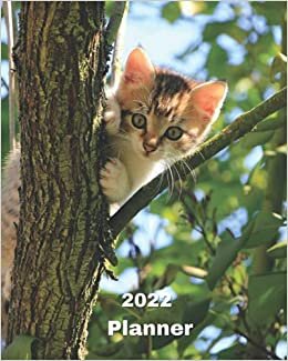 okumak 2022 Planner: Kitten in a Tree - 12 Month Weekly and Monthly Planner January 2022 to December 2022 -Monthly Calendar with U.S./UK/ ... 8 x 10 in.- Cats Breed Pets Kittens