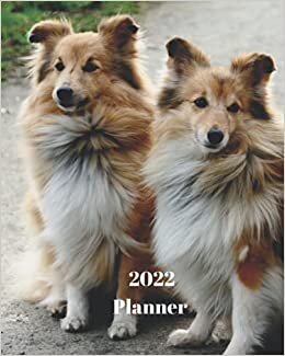 okumak 2022 Planner: Shetland Sheepdog Dog -12 Month Planner January 2022 to December 2022 Monthly Calendar with U.S./UK/ Canadian/Christian/Jewish/Muslim ... in Review/Notes 8 x 10 in.- Dog Breed Pets