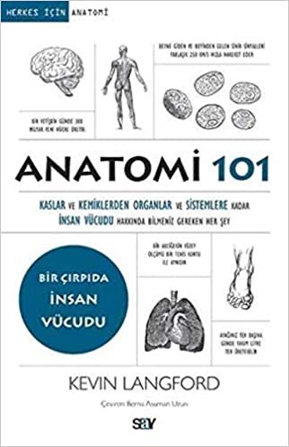 okumak Anatomi 101: Kaslar ve Kemiklerden Organlar ve Sistemlere Kadar İnsan Vücudu Hakkında Bilmeniz Gereken Her Şey