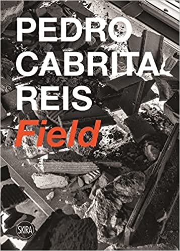 Pedro Cabrita Reis: Field
