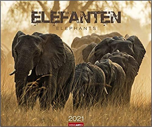 okumak Elefanten - Kalender 2021
