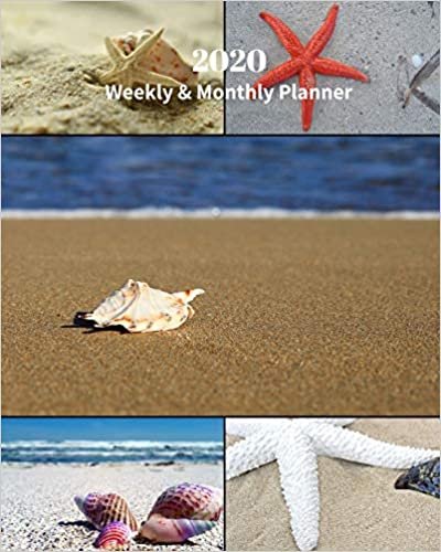 okumak 2020 Weekly and Monthly Planner: Shells Collage - Monthly Calendar with U.S./UK/ Canadian/Christian/Jewish/Muslim Holidays– Calendar in Review/Notes 8 x 10 in.- Tropical Beach Vacation Travel