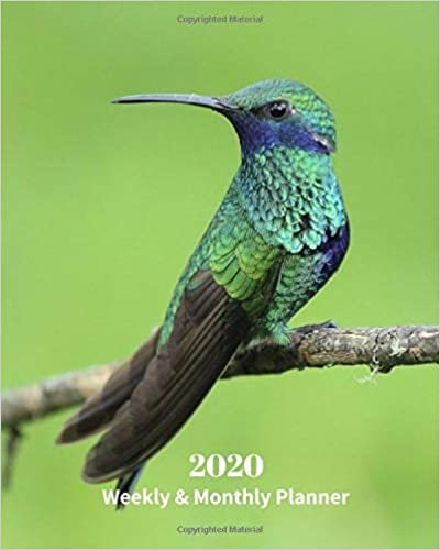 okumak 2020 Weekly and Monthly Planner: Hummingbird - Monthly Calendar with U.S./UK/ Canadian/Christian/Jewish/Muslim Holidays– Calendar in Review/Notes 8 x 10 in.-Wildlife Birds Nature