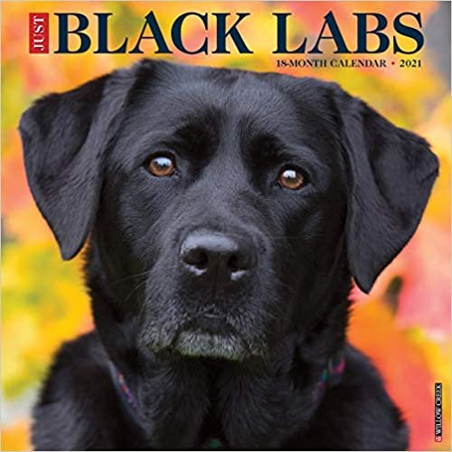 okumak Just Black Labs 2021 Calendar