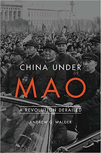 okumak China Under Mao : A Revolution Derailed