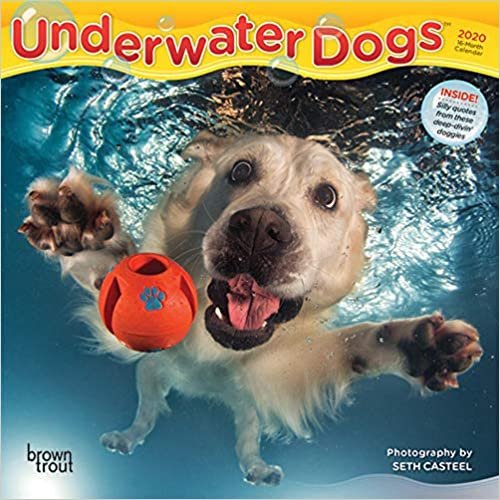 okumak Underwater Dogs 2020 Mini Wall Calendar