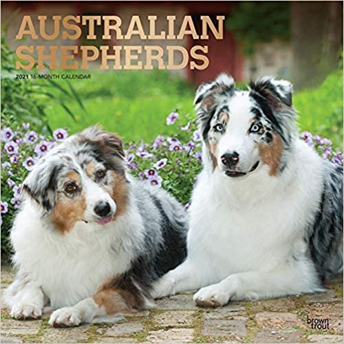 okumak Australian Shepherds - Australische Schäferhunde 2021- 16-Monatskalender mit freier DogDays-App: Original BrownTrout-Kalender [Mehrsprachig] [Kalender] (Wall-Kalender)