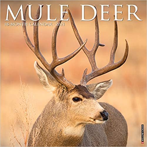 okumak Mule Deer 2021 Calendar
