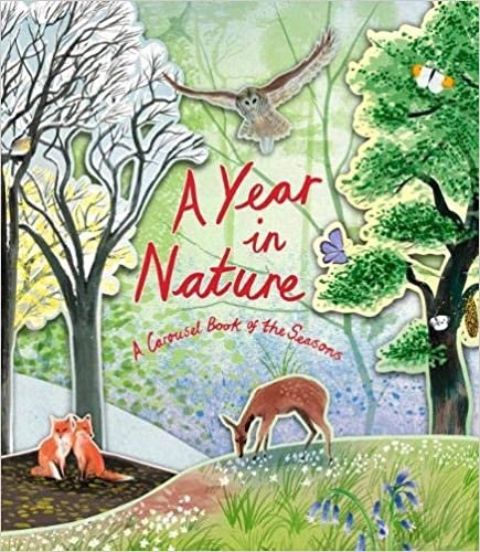 okumak Year in Nature: A Carousel Book of the Seasons, A:A Carousel Book