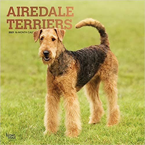 okumak Airedale Terriers 2021 - 16-Monatskalender mit freier DogDays-App: Original BrownTrout-Kalender [Mehrsprachig] [Kalender] (Wall-Kalender)