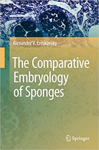 okumak The Comparative Embryology of Sponges