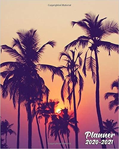 okumak 2020-2021: Vintage Tropical 2 Year Daily Weekly Planner Organizer with To-Do’s, U.S. Holidays &amp; Inspirational Quotes, Vision Boards &amp; Notes | Exotic Sunset Two Year Calendar &amp; Agenda Schedule Notebook