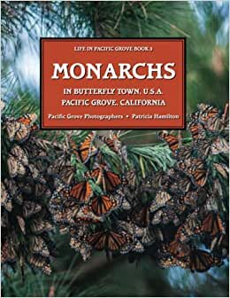 Monarchs in Butterfly Town, U.S.A Pacific Grove, California