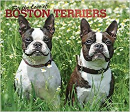 okumak Boston Terriers – For the love of 2021 - 16-Monatskalender mit freier DogDays-App: Original BrownTrout-Kalender - Deluxe [Mehrsprachig] [Kalender] (Deluxe-Kalender)