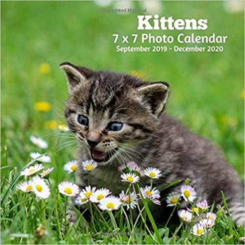okumak Kittens 7 X 7 Photo Calendar September 2019 -December 2020: Monthly Calendar with U.S./UK/ Canadian/Christian/Jewish/Muslim Holidays-Cute Kittens Pets