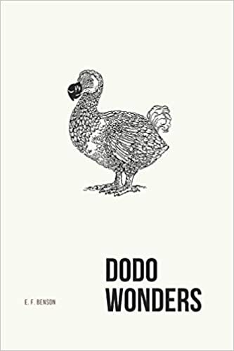 okumak Dodo Wonders
