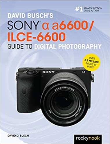 okumak David Busch&#39;s Sony Alpha A6600/Ilce-6600 Guide to Digital Photography (David Busch Camera Guide)