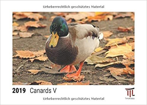 okumak canards v 2019 calendrier de bureau timokrates calendrier photo calendrier photo