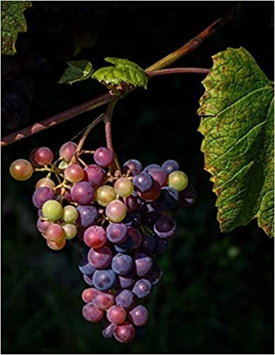 okumak Notebook: grapes winegrowing vine fruit grapevine wine