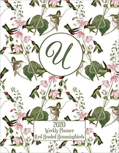 okumak 2020 Weekly Planner - Red Headed Hummingbirds - Personalized Letter U - 14 Month Large Print: Hummingbirds With Pink Trumpet Vines - White Background - Customized Interior