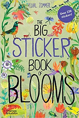 okumak The Big Sticker Book of Blooms (Big Book): 0