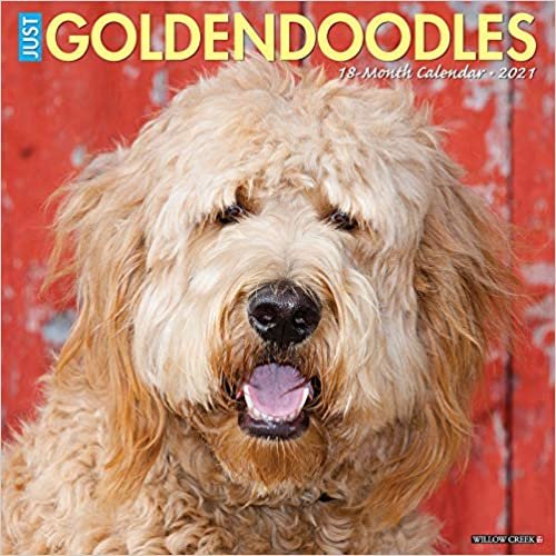 okumak Just Goldendoodles 2021 Calendar