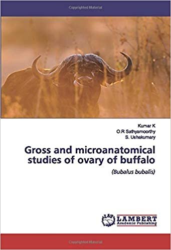 okumak Gross and microanatomical studies of ovary of buffalo: (Bubalus bubalis)