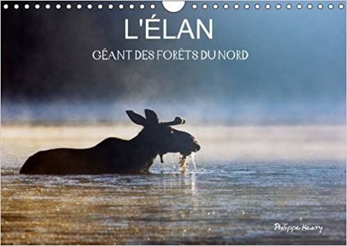 okumak L&#39;Elan - Geant Des Forets Du Nord 2017: Les Quatre Saisons De L&#39;elan (Calvendo Animaux)