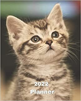 okumak 2022 Planner: Tabby Kitten Looking Up - 12 Month Weekly and Monthly Planner January 2022 to December 2022 -Monthly Calendar with U.S./UK/ ... 8 x 10 in.- Cats Breed Pets Kittens