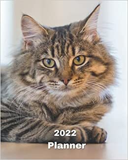 okumak 2022 Planner: Gray Tabby Cats - 12 Month Weekly and Monthly Planner January 2022 to December 2022 -Monthly Calendar with U.S./UK/ ... 8 x 10 in.- Cats Breed Pets Kittens