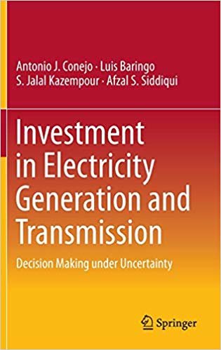 okumak Investment in Electricity Generation and Transmission : Decision Making under Uncertainty