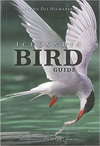 okumak Icelandic Bird Guide: Appearance, Way of Life, Habitat