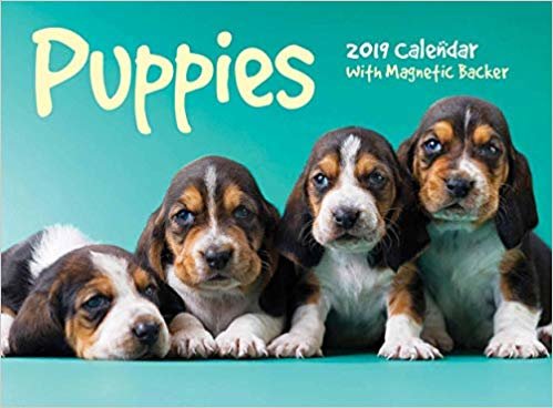 okumak Puppies Mini B 2019