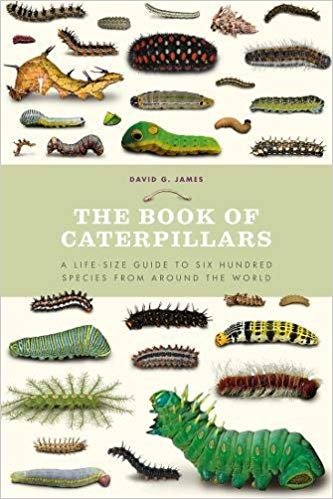 okumak The Book of Caterpillars : A Life-Size Guide to Six Hundred Species from Around the World